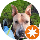 Electric Surfer PHvR